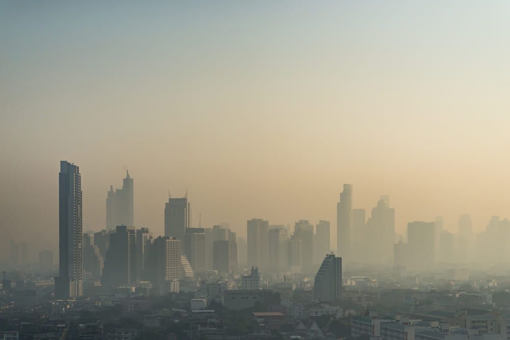 ฝุ่น PM 2.5 มลพิษบนอากาศที่ควรต้องจัดการและหลีกเลี่ยง