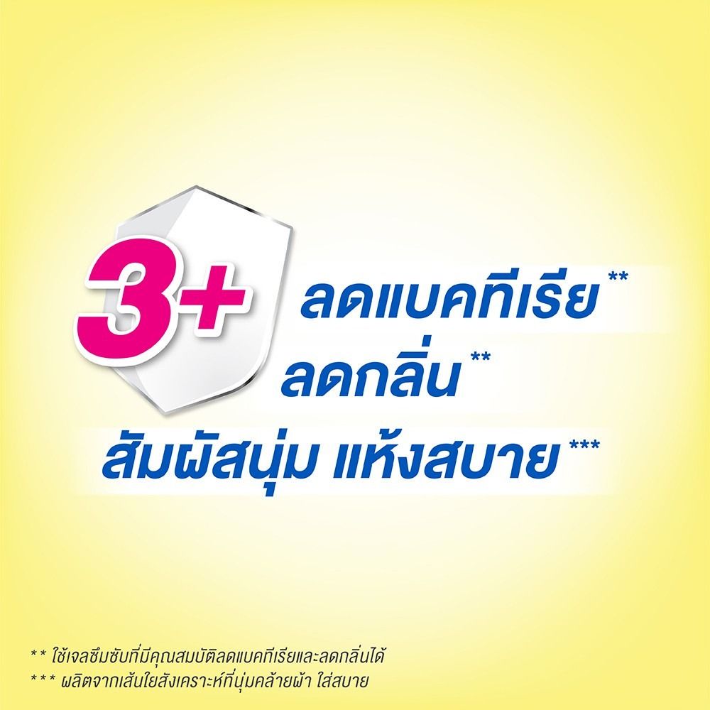 เซอร์เทนตี้กางเกงอนามัยเดย์แพ้นส์ L34