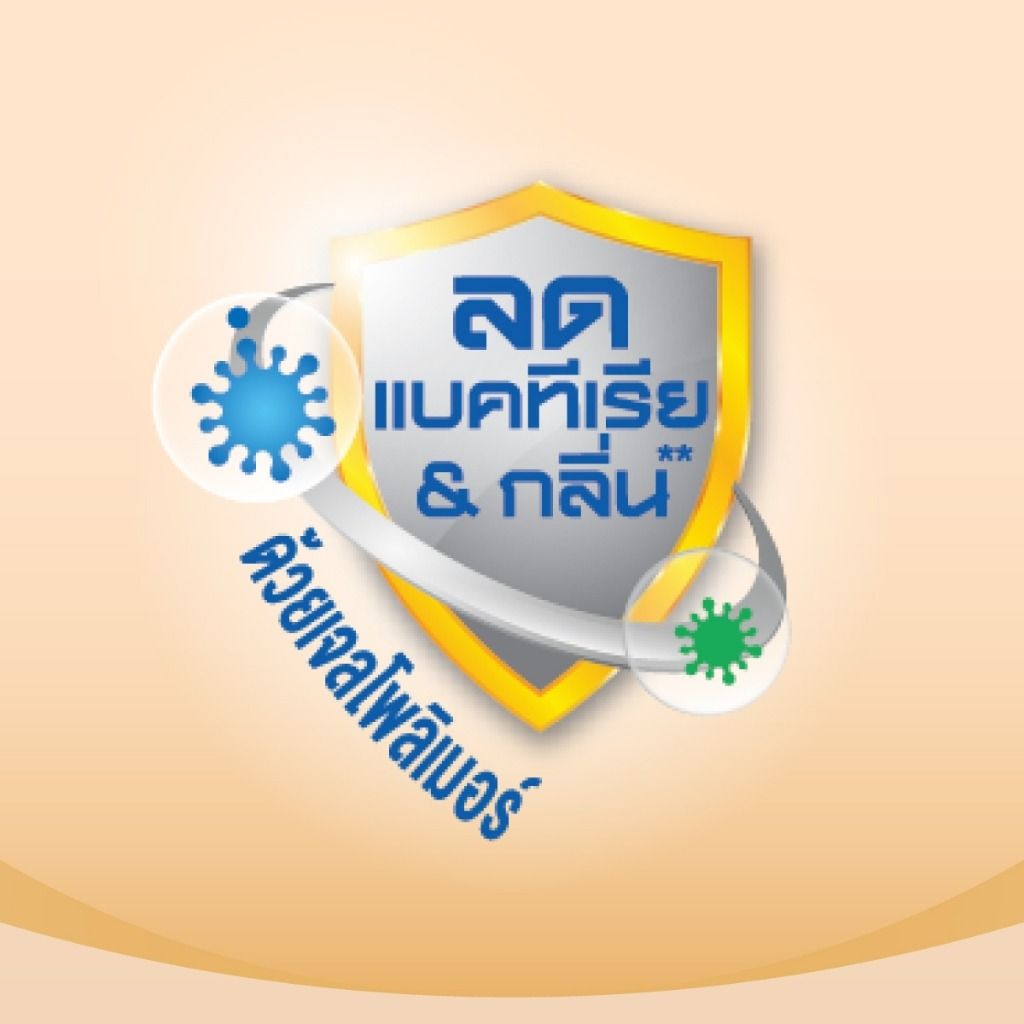 เซอร์เทนตี้ โกล์ดแพ้นส์ ลังประหยัด ขนาด XL 36 ชิ้น