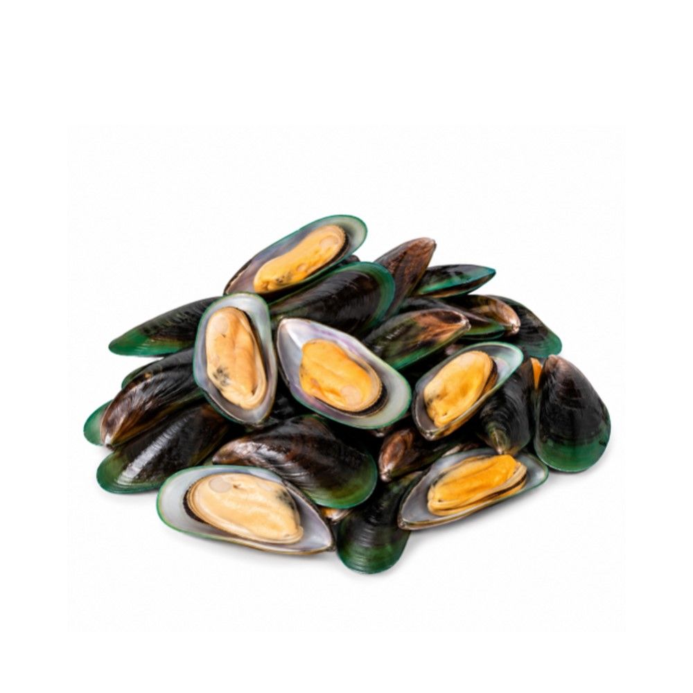 MUSSELS KG