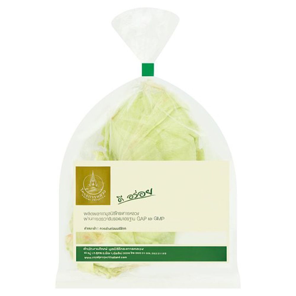 ROYAL PROJECT FOUNDATION ICEBURG LETTUCE PACK