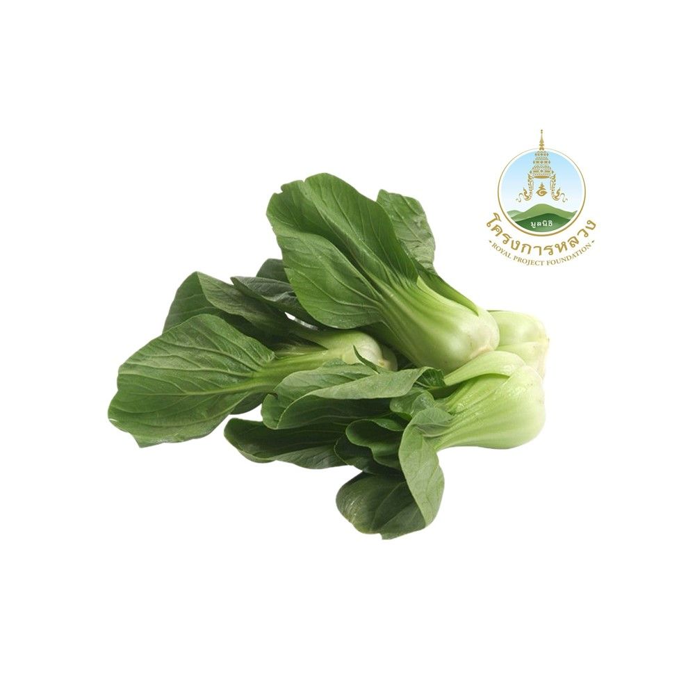 ROYAL PROJECT FOUNDATION BABY HONGTIE ORGANIC PACK