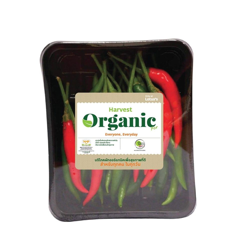 Small Chilli Pack ORGANIC HARVEST FARM SUPER HOT CHILLI ORGANIC PACK | Lotus’s Shop Online