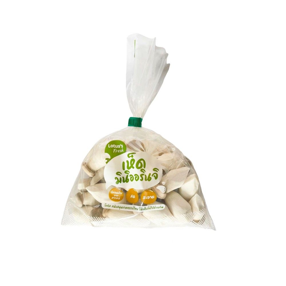 MINI KING OYSTER 300 G PACK