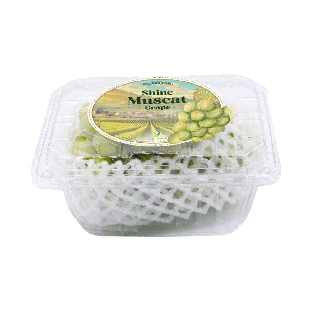 องุ่นไชน์มัสแคท 500 กรัม แพ็คละ