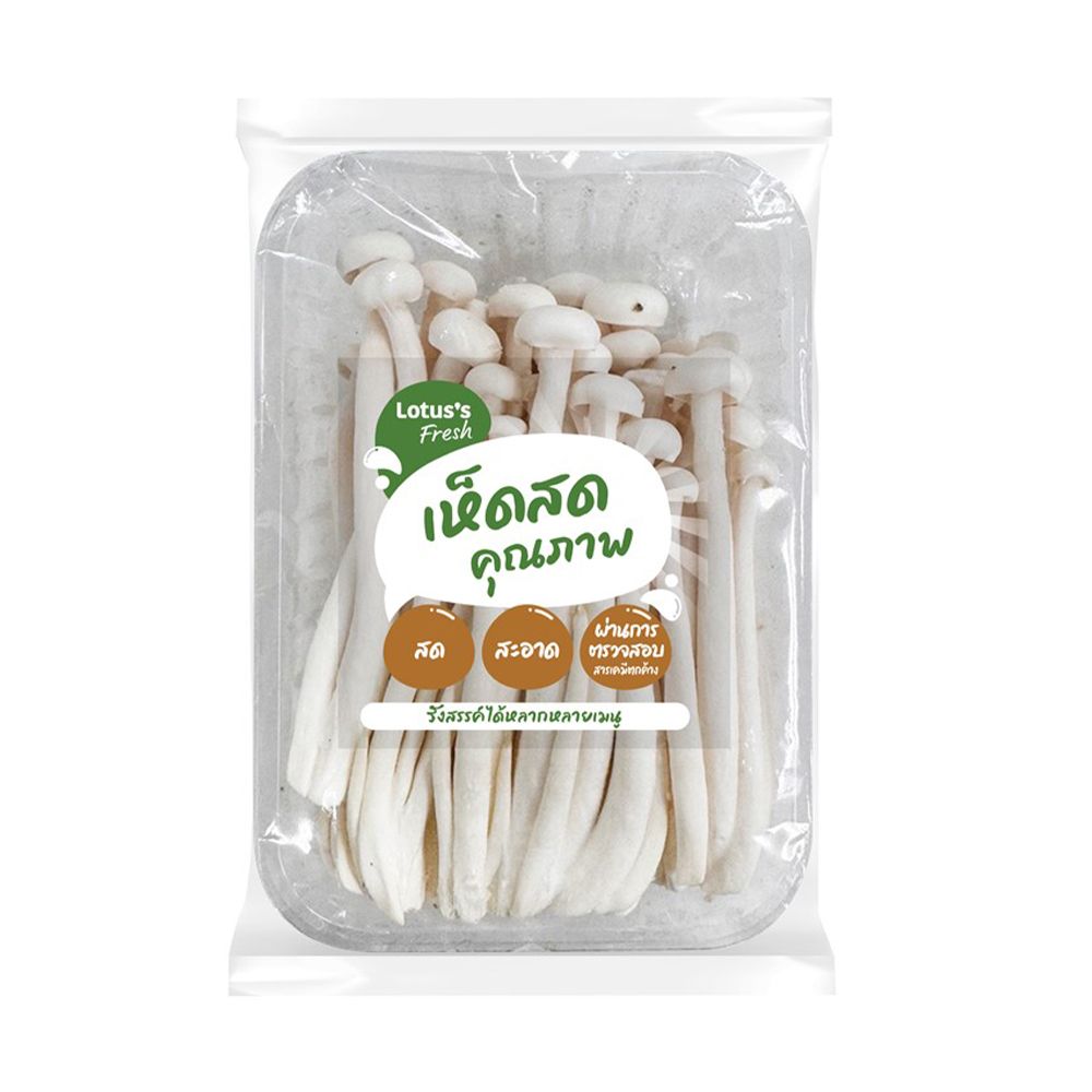 WHITE SNOW MUSHROOM PACK