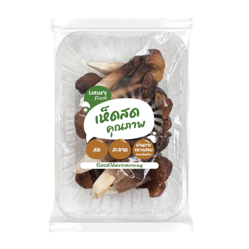 IMPORTED BLACK TERMITE MUSHROOMS PACK