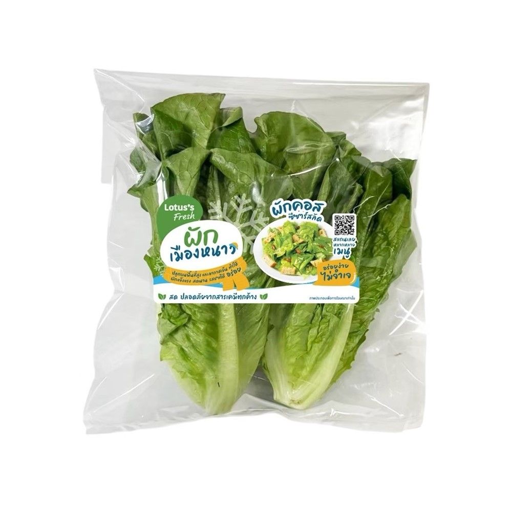 LOTUSS COS LETTUCE 300 G PACK