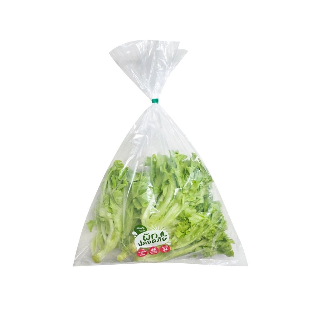 LOTUSS GREEN OAK 300 G PACK