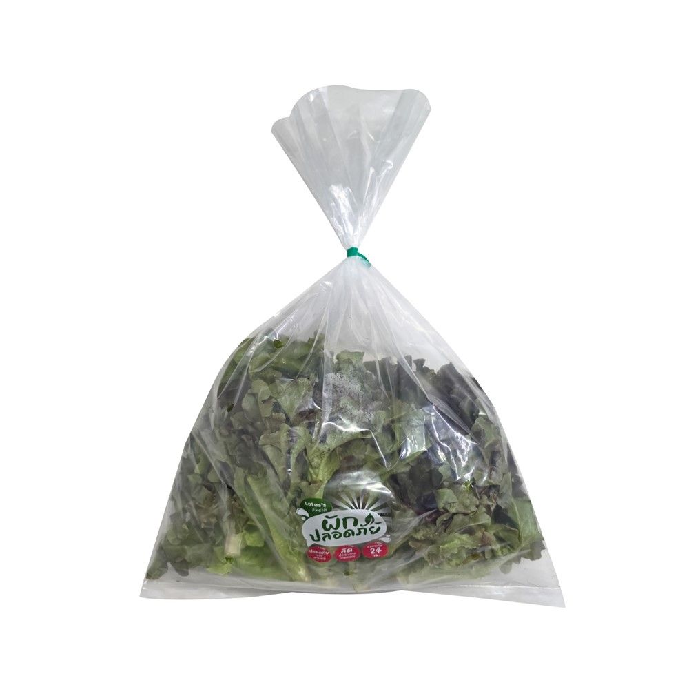 LOTUSS RED OAK 300 G PACK