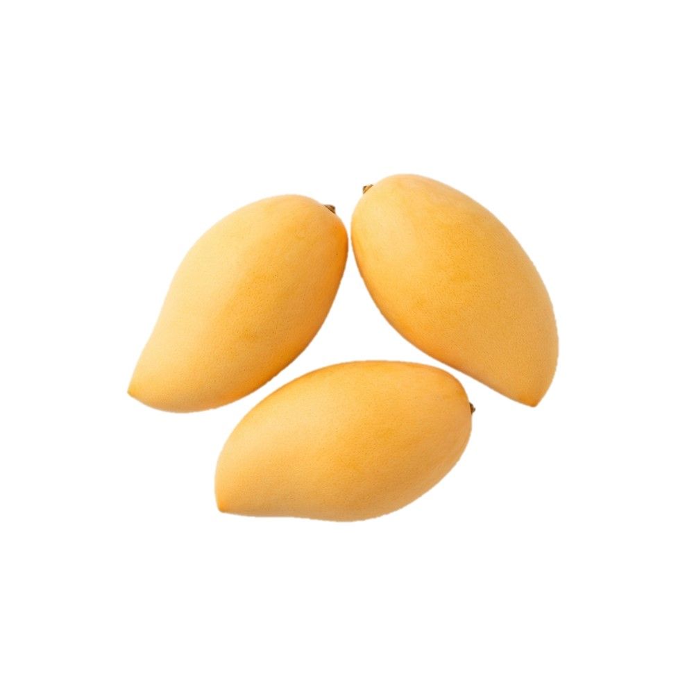 PRIVE NAM DOK MAI MANGO KG