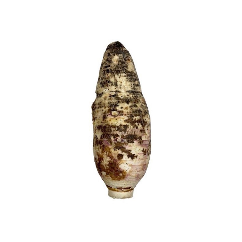 PRIVE TARO KG