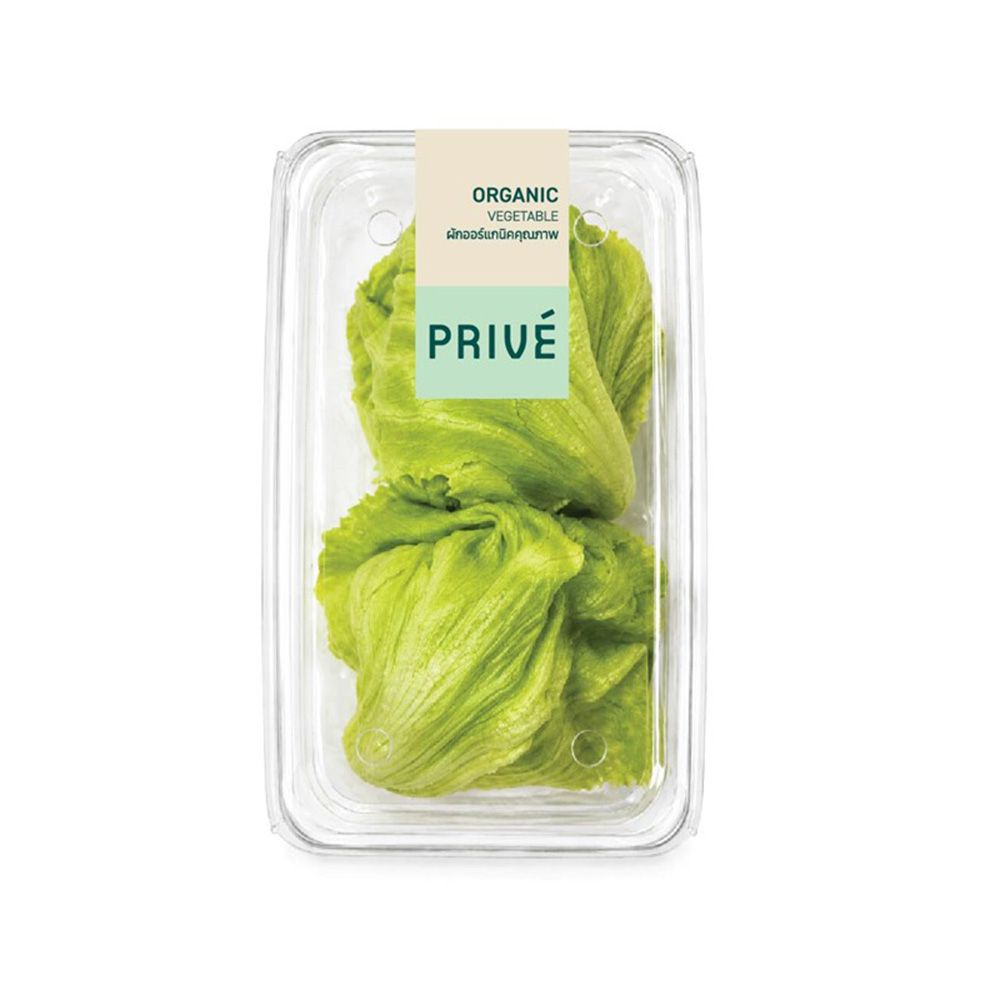 PRIVE ICEBERG LETTUCE ORGANIC PACK