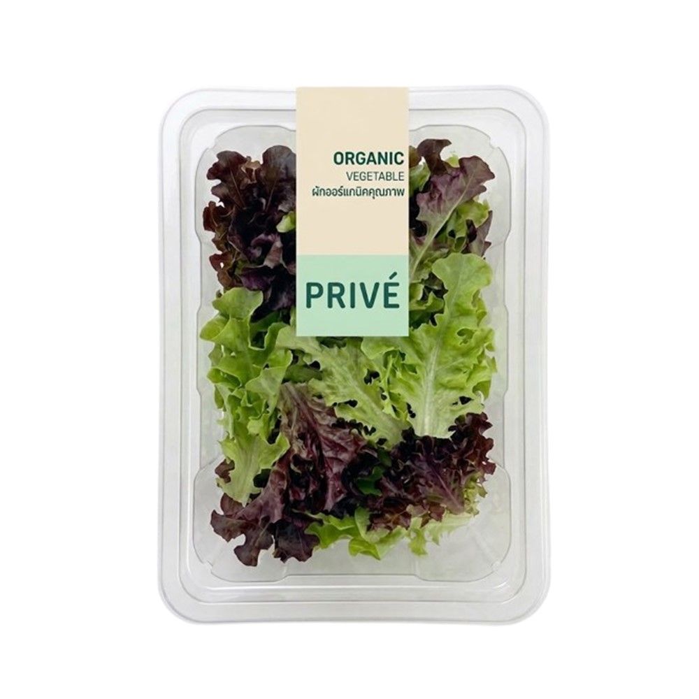 PRIVE GREEN OAK + RED OAK SALAD ORGANIC PACK