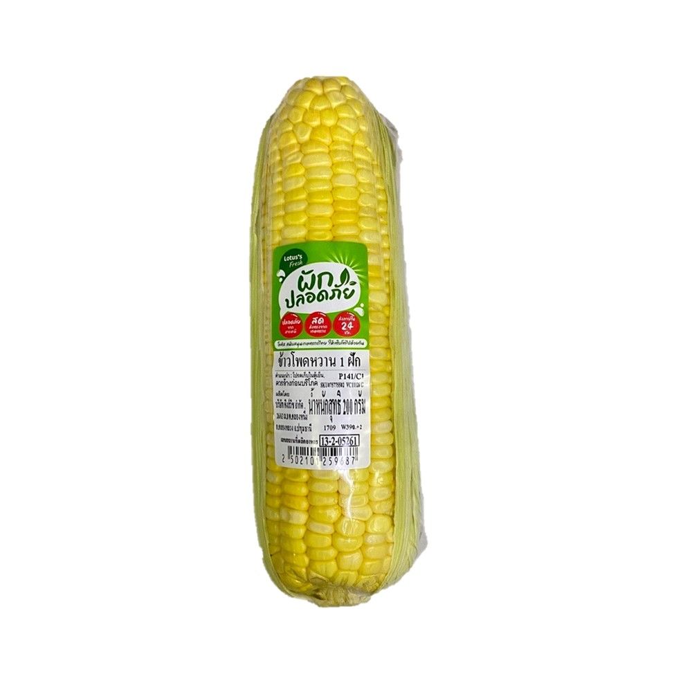 LOTUSS SWEET CORN 1 PCS PACK