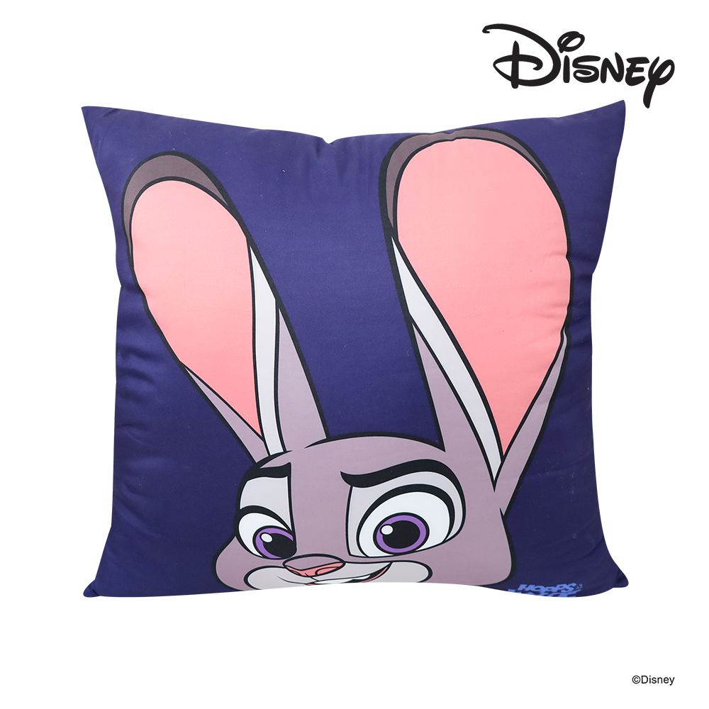 โมเมนโต หมอนอิงดิสนีย์ 29X29 นิ้ว (คละแบบ)