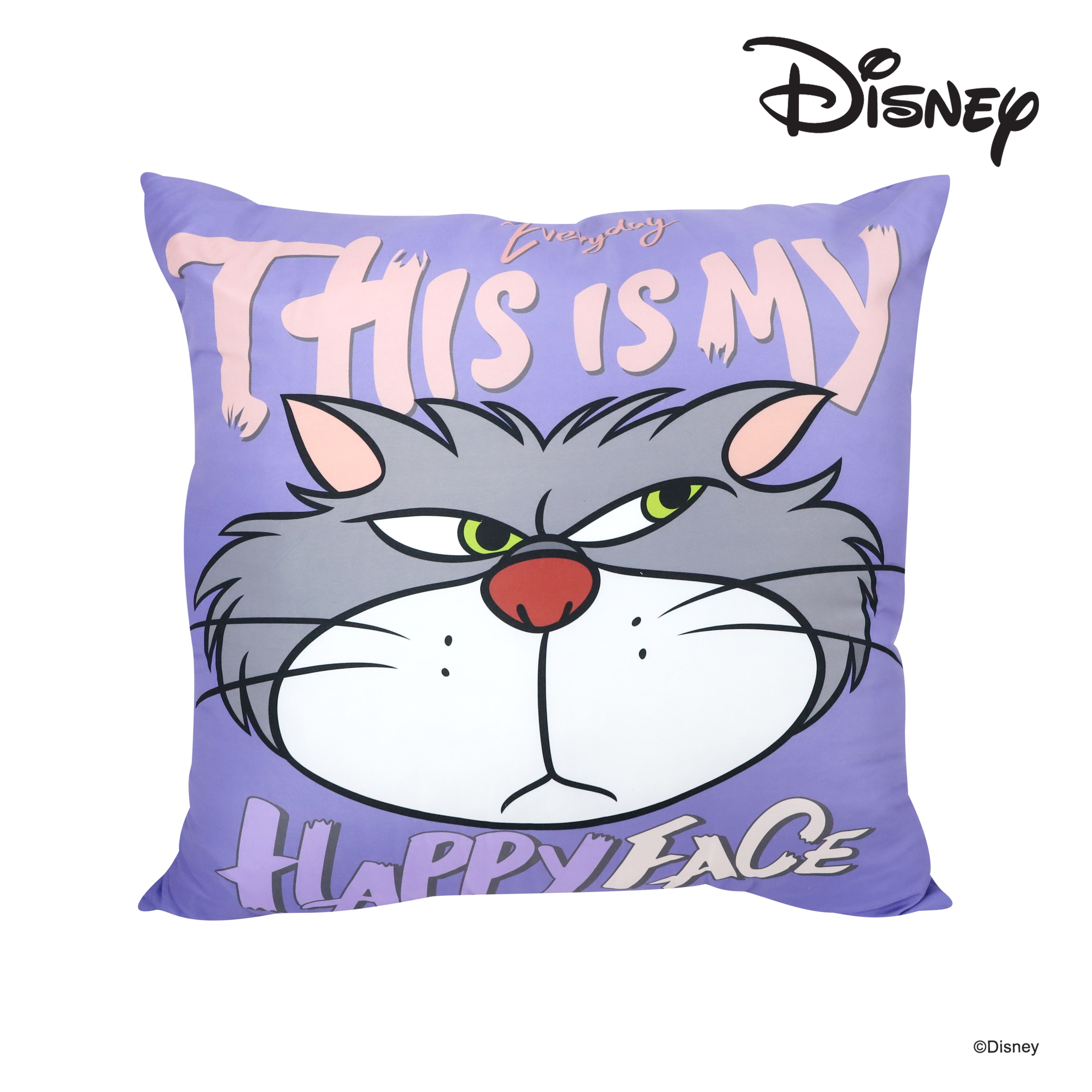 โมเมนโต หมอนอิงดิสนีย์ 29X29 นิ้ว (คละแบบ)