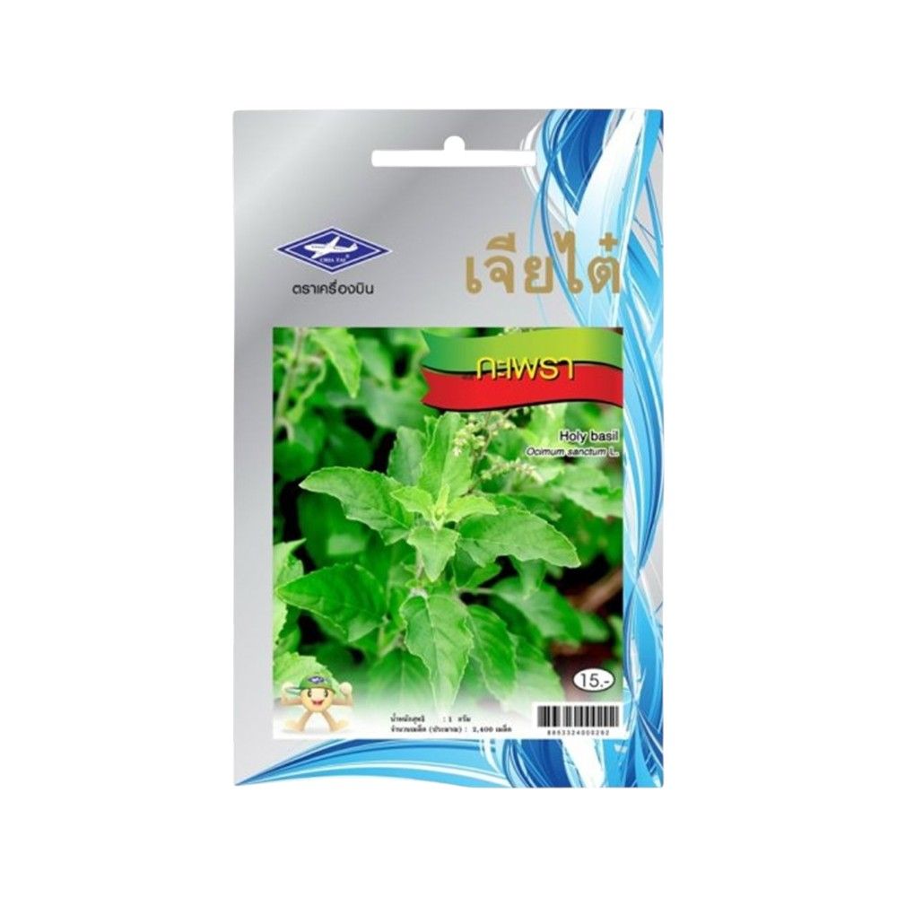 HOLY BASIL