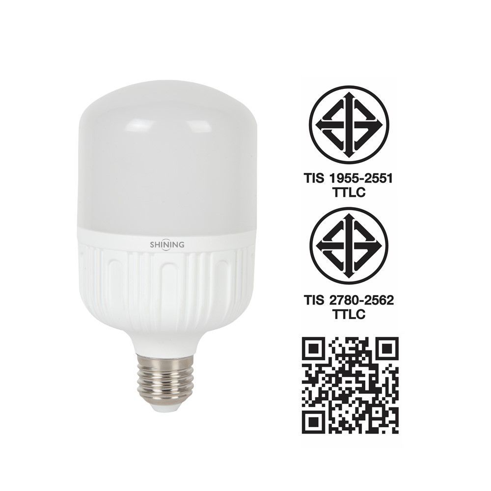 SHINING LED SUPER BRIGHT 20W DAY LIGHT