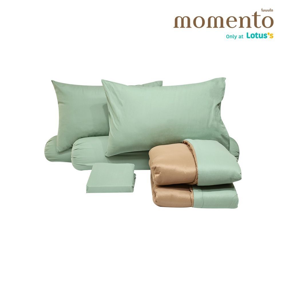 MOMENTO BIAB MICRO GREEN/BROWN 6 FT. + QUILT