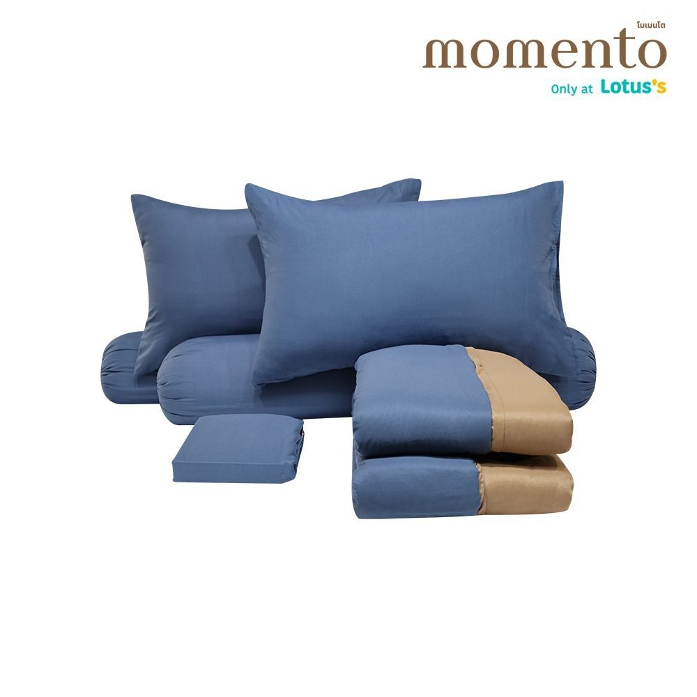 MOMENTO BIAB MICRO NAVY/BROWN 6 FT. + QUILT