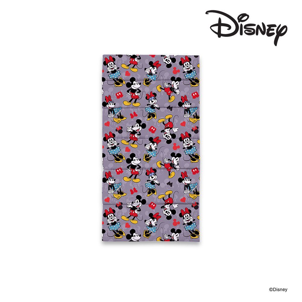 MOMENTO PICNIC COOLING DISNEY 3X6 FT. (ASSORTED)
