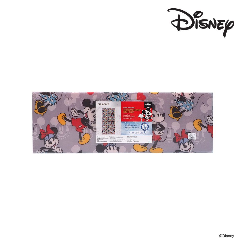 โมเมนโตปิคนิคเย็นดิสนีย์ 3X6 ฟุต (คละแบบ)