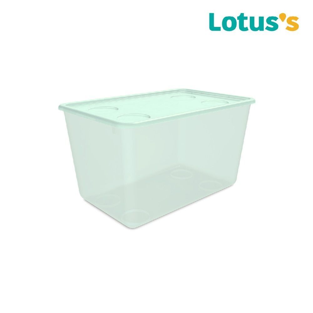 LOTUSS STORAGE BOX 30L. (ASSORTED)