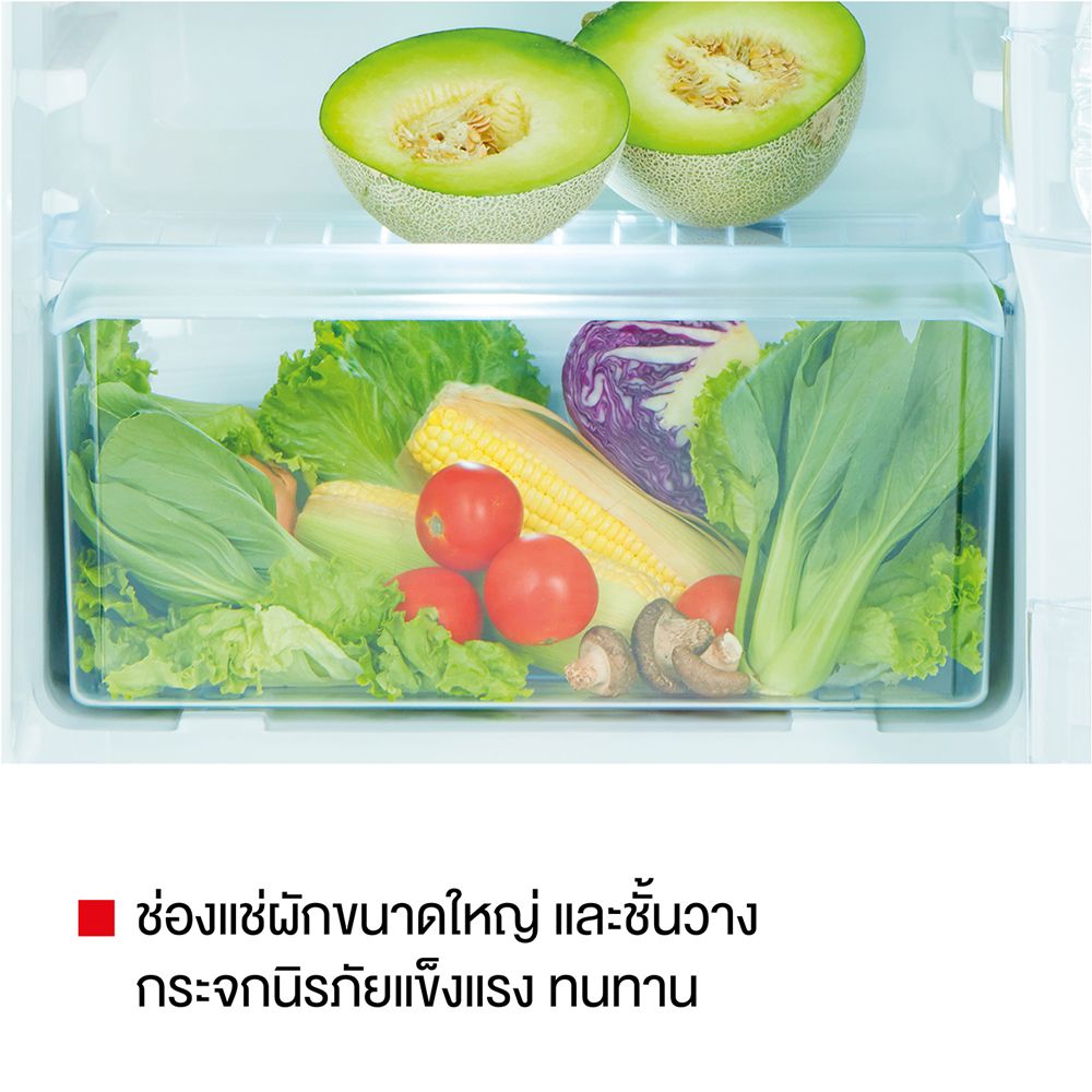 TOSHIBA ตู้เย็น 1 ประตู 5.2Q #GR-D149CR