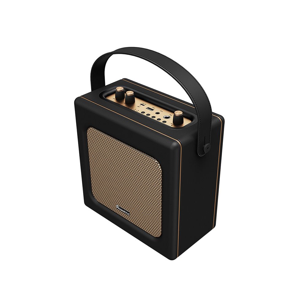 ACONATIC RETRO SPEAKER 20W #AN-RT201