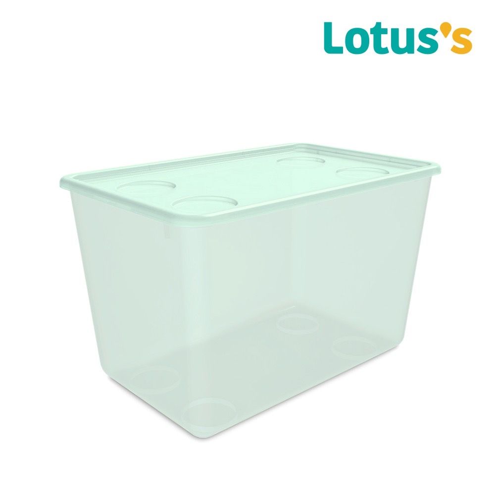 LOTUSS PORGAIZING BOX GREEN 30 LITRE 275-2