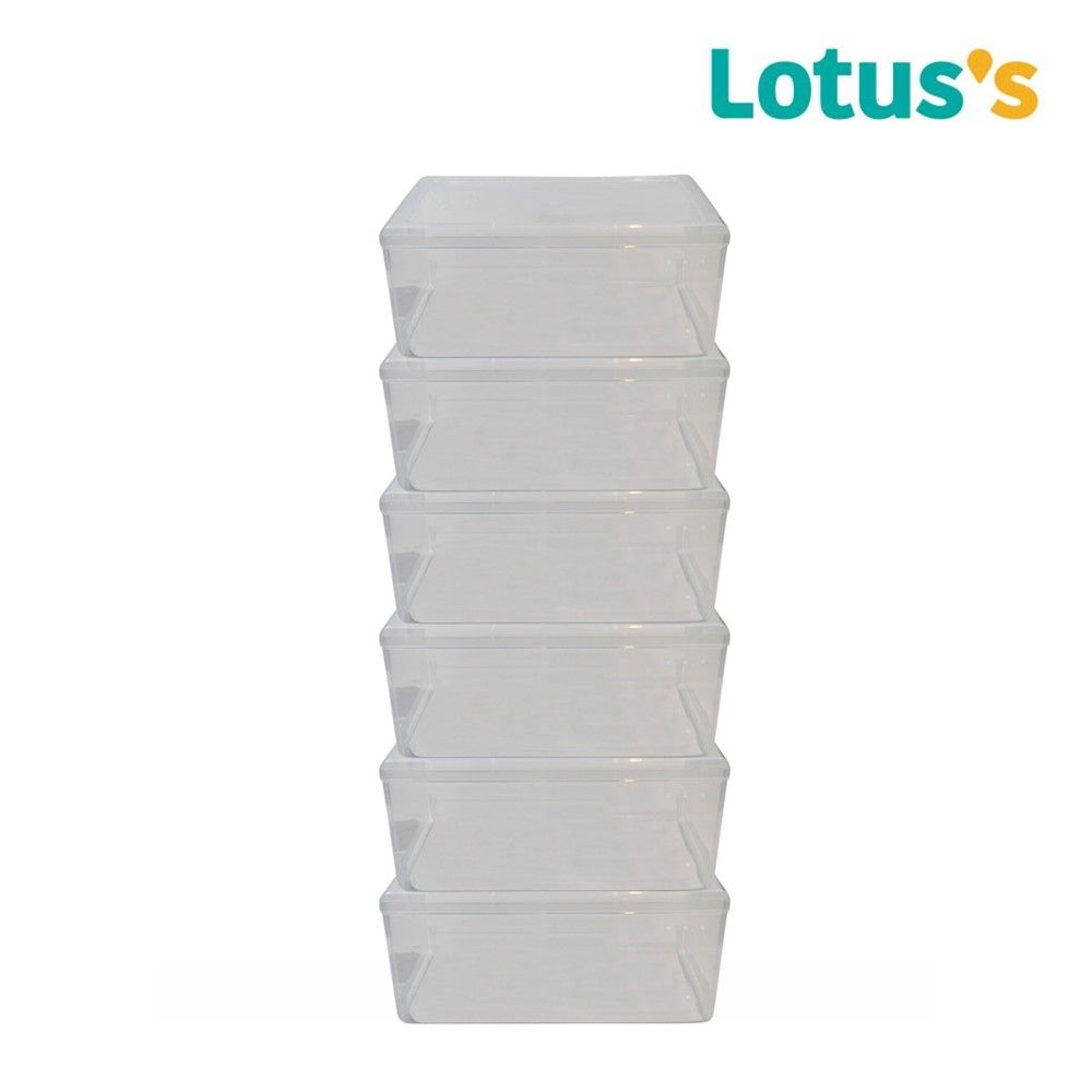 LOTUSS SHOE BOX OPEN UP SMALL 6 PCS.