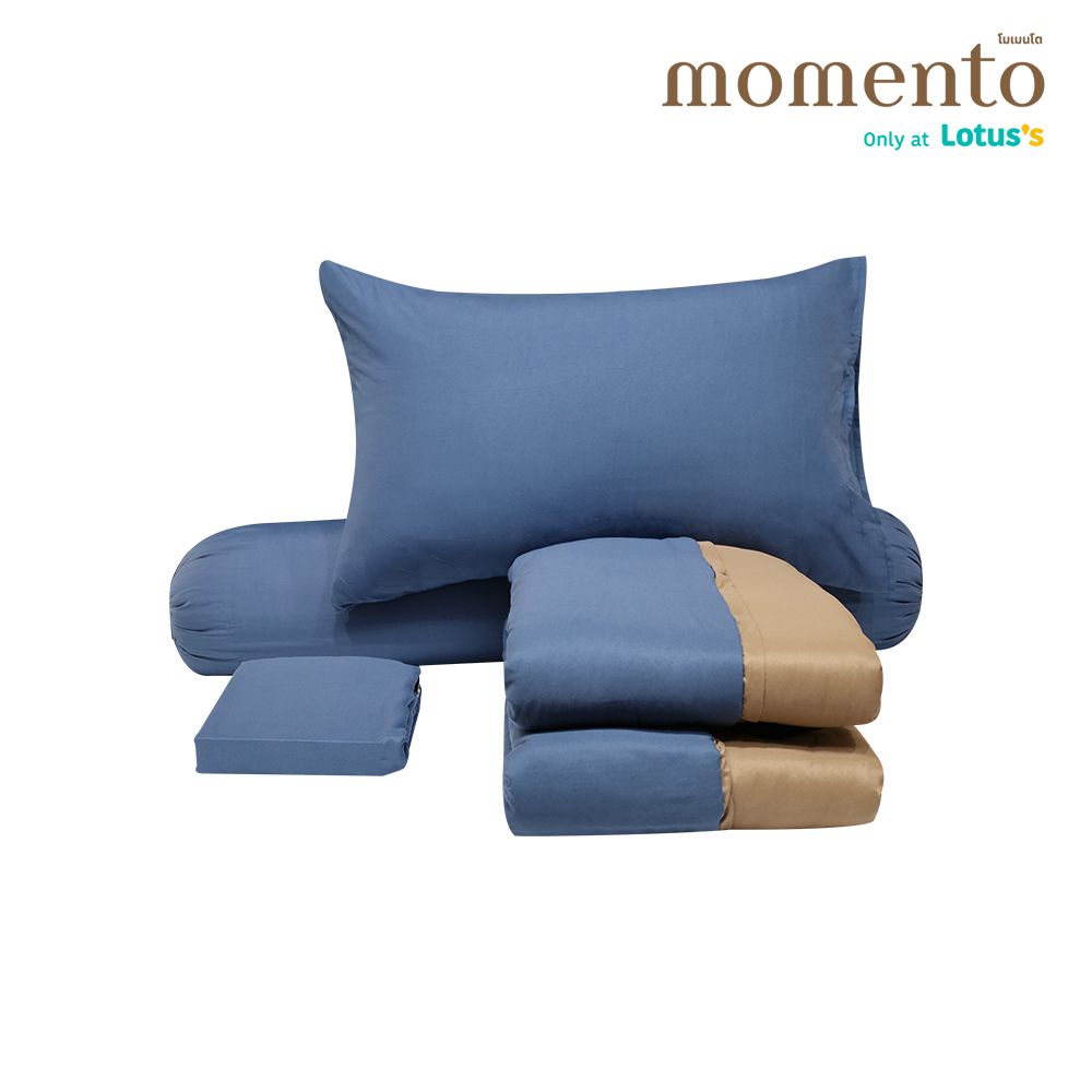 MOMENTO BIAB MICRO NAVY/BROWN 3.5 FT. + QUILT