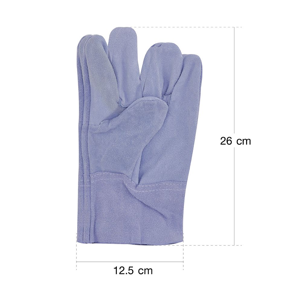 ELEGANCE ถุงมือหนัง