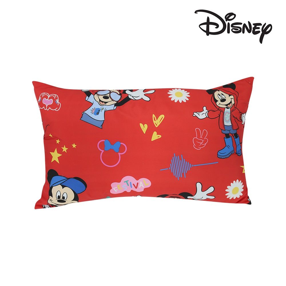 โมเมนโต หมอนหนุน ดิสนีย์ 17X26 นิ้ว (คละแบบ)