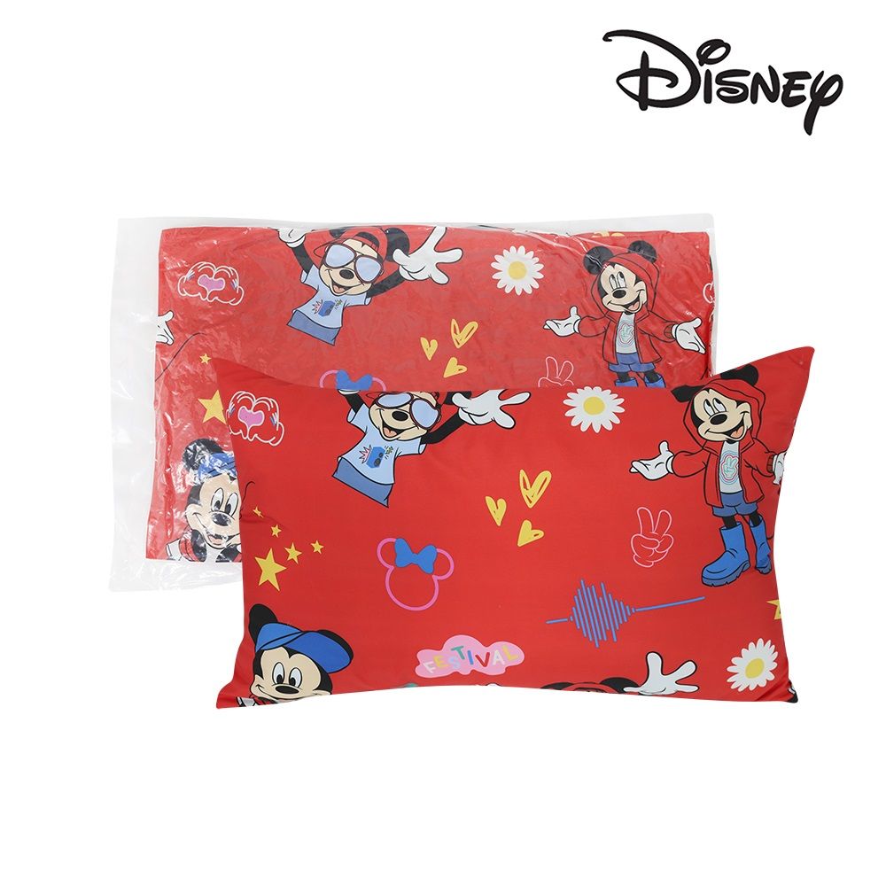 โมเมนโต หมอนหนุน ดิสนีย์ 17X26 นิ้ว (คละแบบ)