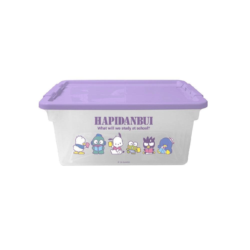 MULTIPURPOSE SANRIO BOX 41 X 17.5CM. (ASSORTED)