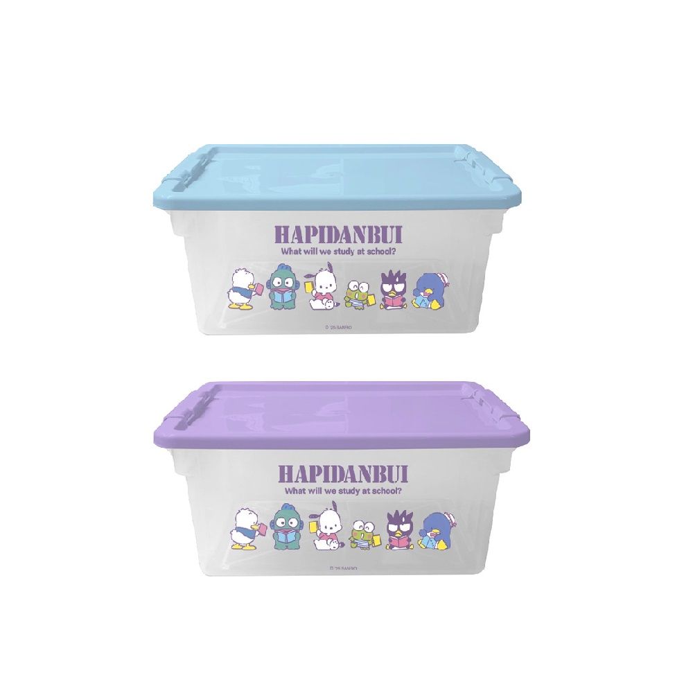 MULTIPURPOSE SANRIO BOX 41 X 17.5CM. (ASSORTED)
