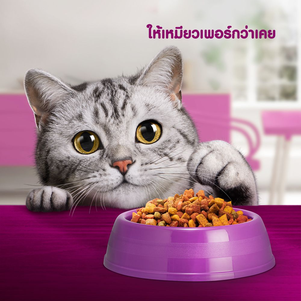 WHISKAS DRY CAT FOOD CHICKEN TUNA 450G