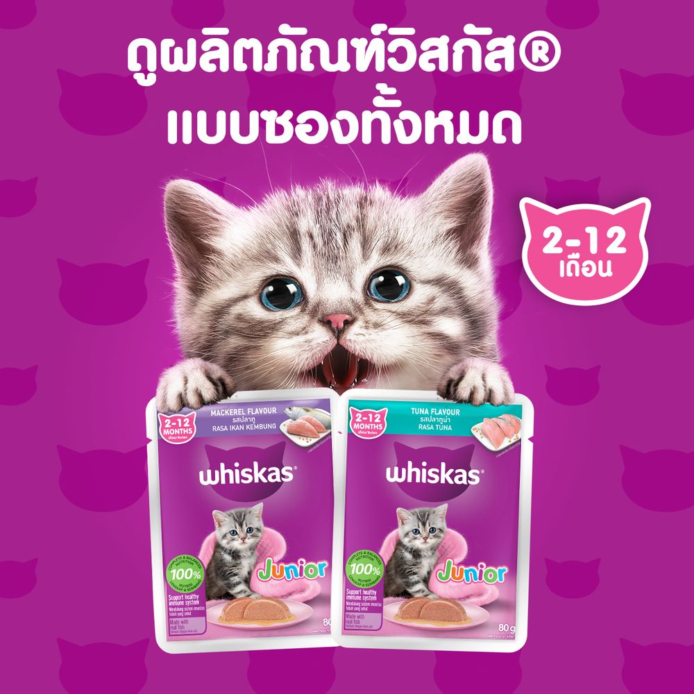 วิสกัส อาหารแมว เปียก ลูกแมว รสปลาทูน่าและปลาทู 80กX12ซอง