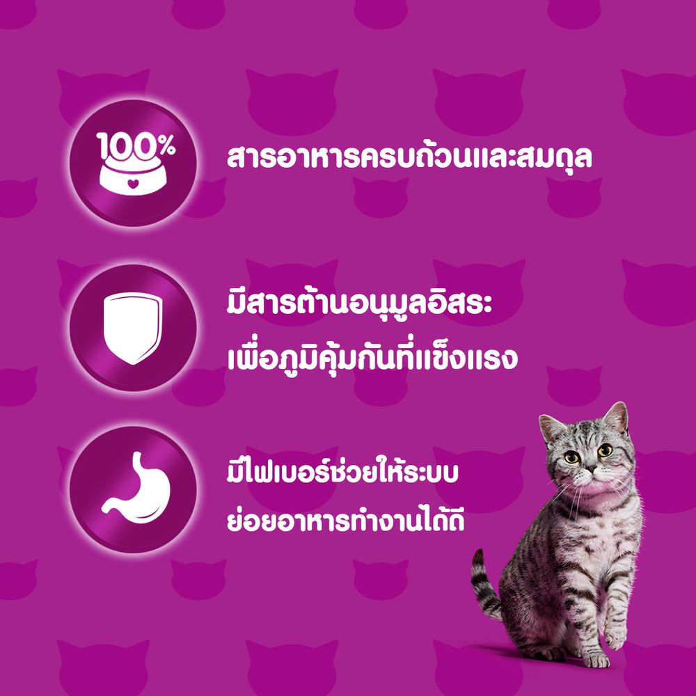 วิสกัสแมวเทสตี้ไก่ทูน่าแครอทน้ำเกรวี70กT