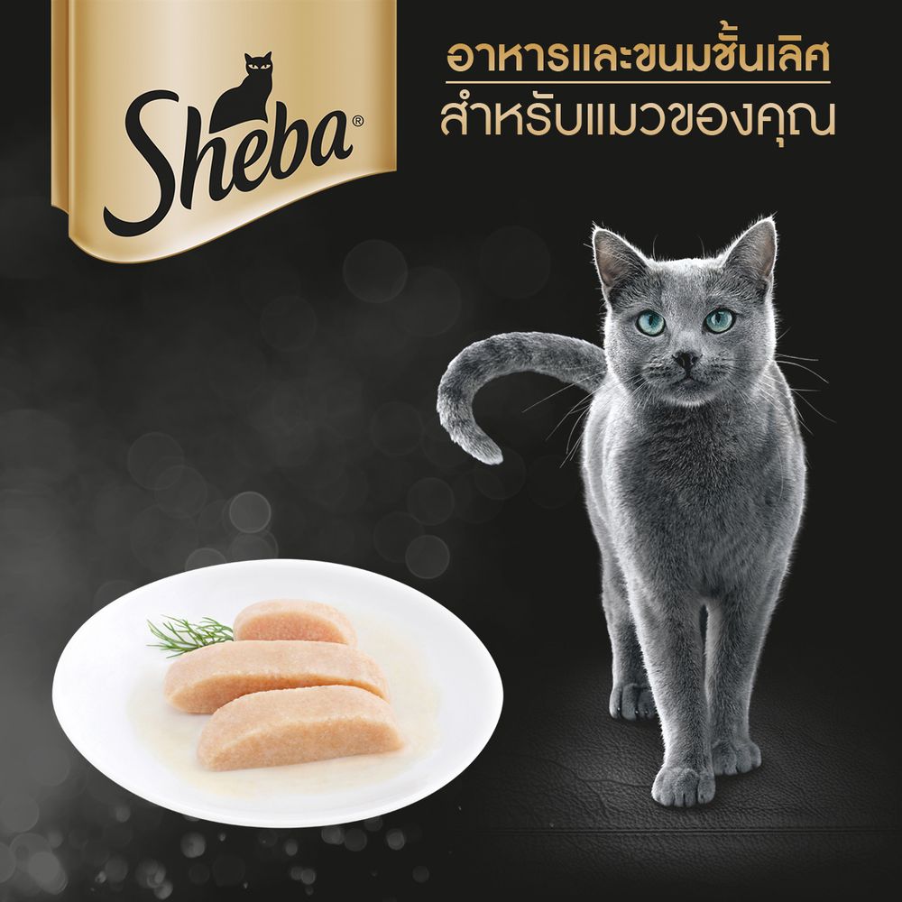SHEBA CAT WET CHICKEN 70G