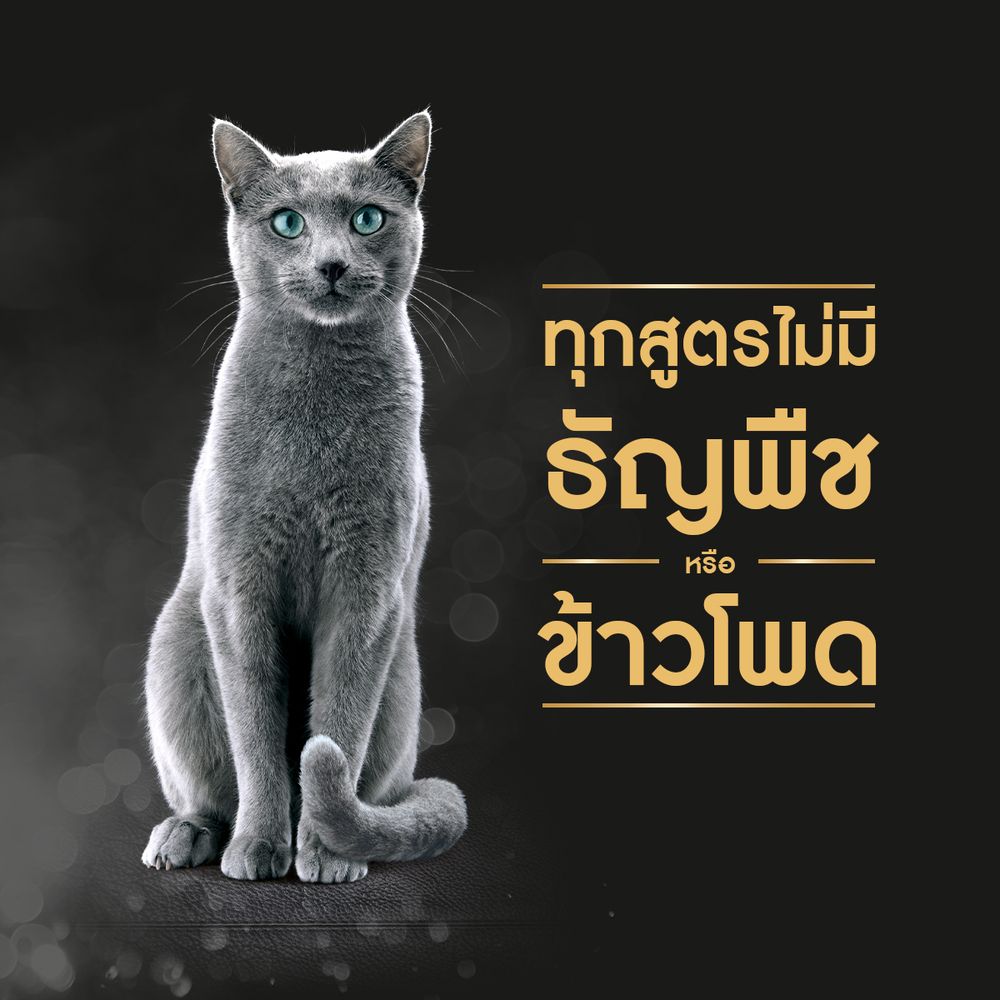 SHEBA CAT WET TUNA CHICKEN 70 G.