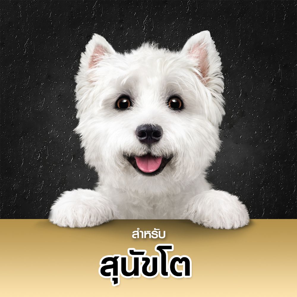 CESAR CRAFT WET DOG FOOD AUSTRALIAN TURKEY 85 G