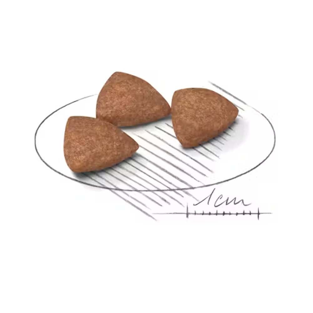 โรยัลคานิน แมวโต อาศัยในบ้าน 4กก