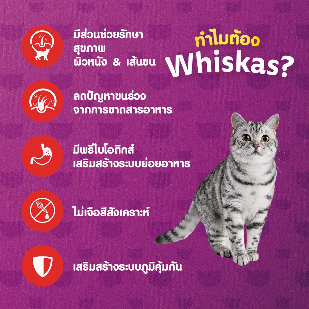 วิสกัสสูตรแมวโตดูแลขนและผิวหนัง 1.1 กก.