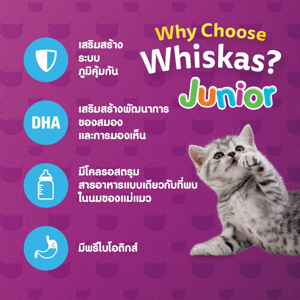 วิสกัสพ็อกเก็ตลูกแมวรสปลาทะเลและนม2.7กก.