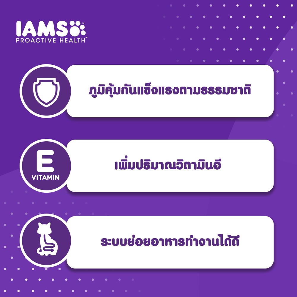 IAMS PROACTIVE HEALTH MOTHER+KITTEN 400G