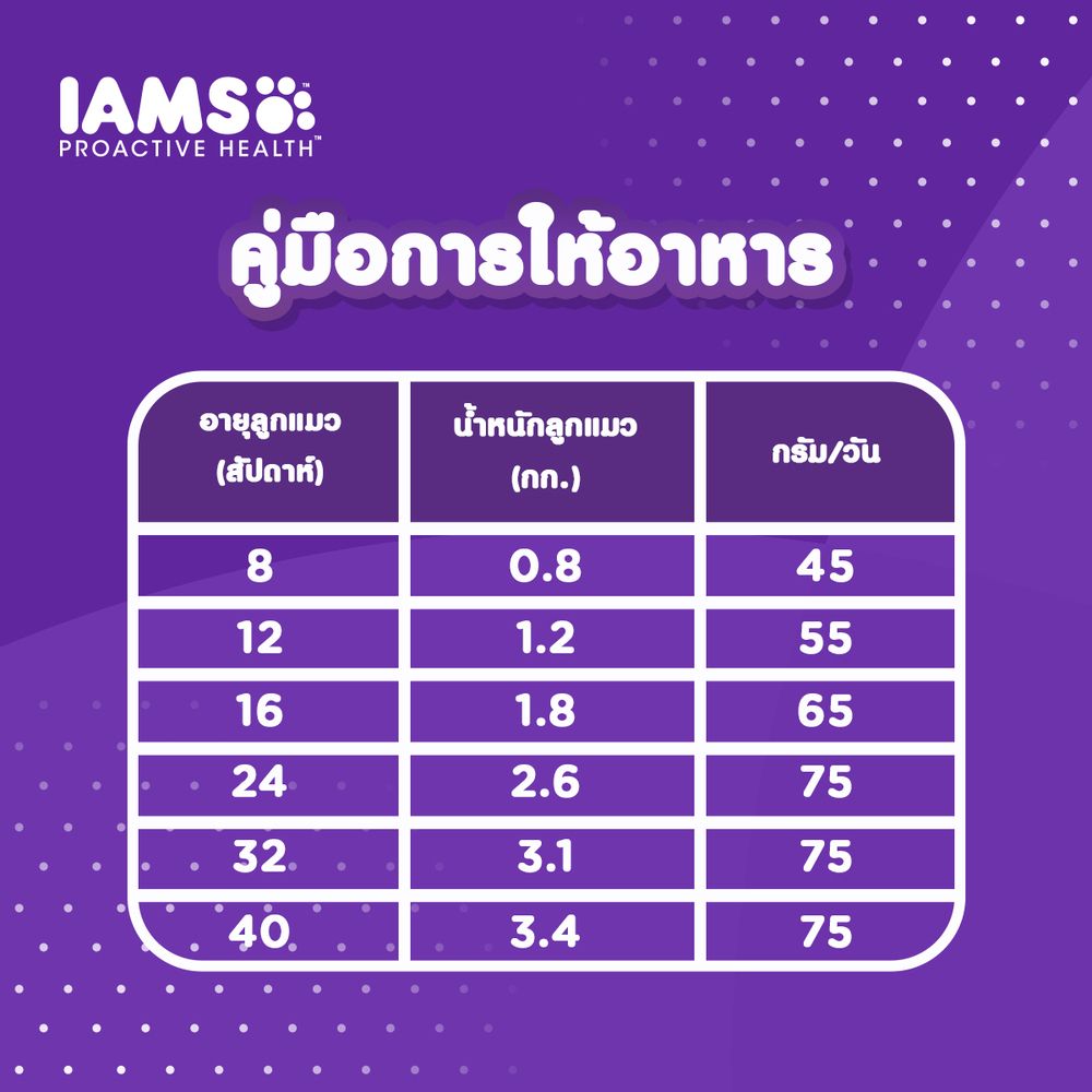 IAMS PROACTIVE HEALTH MOTHER+KITTEN 400G
