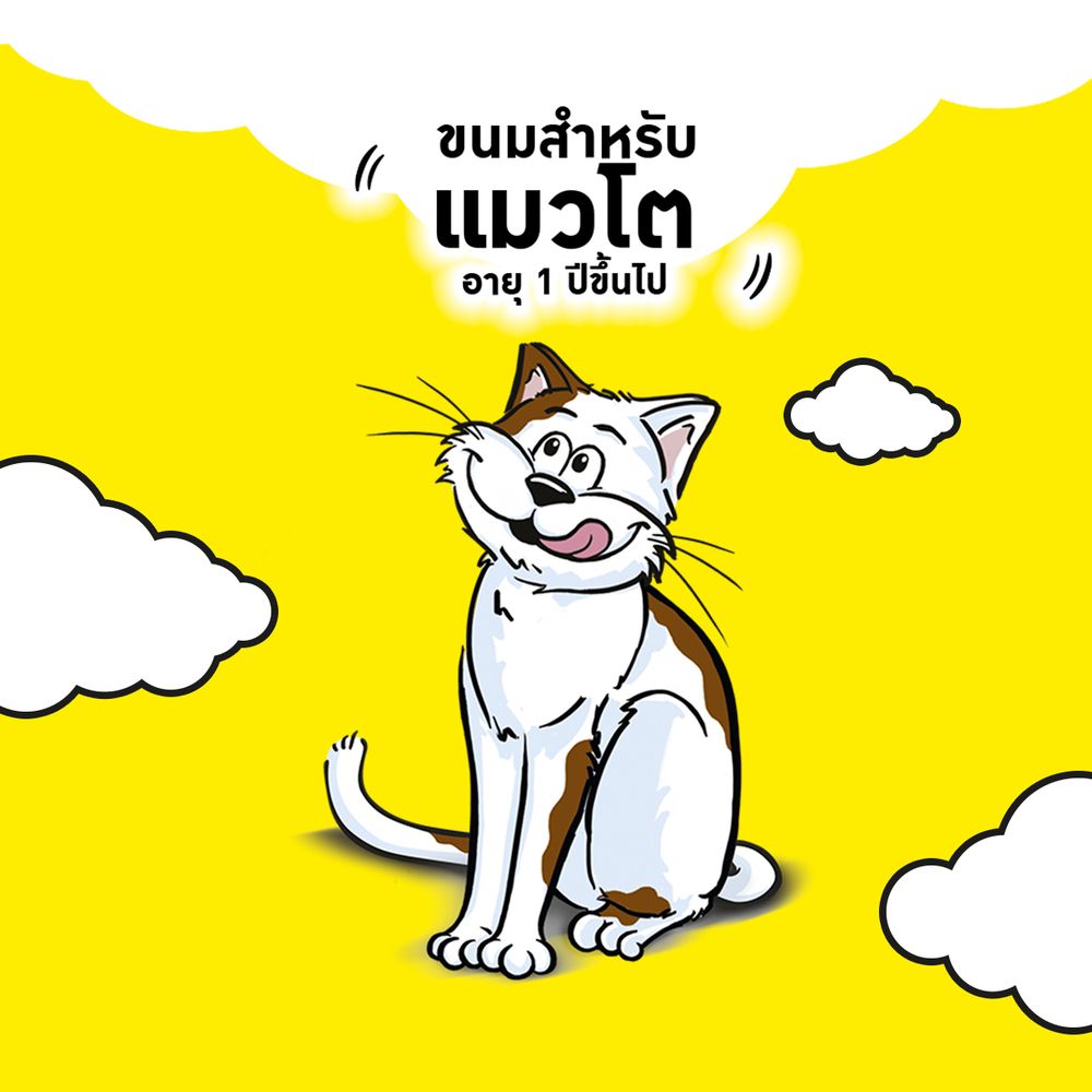 เทมเทชั่นส์มิกซ์อัพรสแคทนิป+ไก่+ชีส 75ก